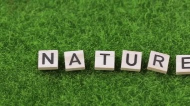 Kelime doğası yapay bir çimen üzerine kuruludur. Yüksek kalite 4k görüntü