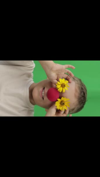 9岁男孩的脸 红鼻子 黄色雏菊 绿色屏幕背景 穿上衣服高质量的镜头 — 图库视频影像