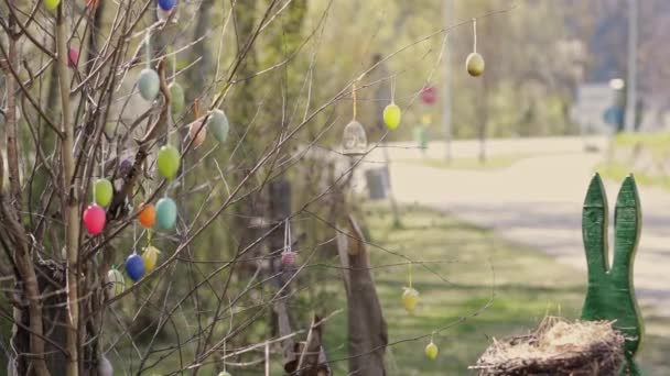 装饰了五彩缤纷的复活节彩蛋的树 高质量的4K镜头 — 图库视频影像