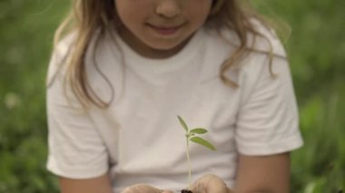 Caucasian girl of 7 years old is keeping a green seedling and soil in her hands. High quality 4k footage