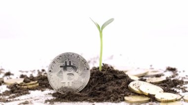 Bitcoin coin close to soil with seedling in it and euro coins. High quality 4k footage