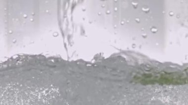 Köpüklü suda bir nane yaprağı. Yüksek kalite 4k görüntü