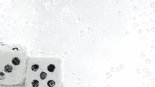 White Dices Falling Water Slow Motion High Quality Footage — Video Stock