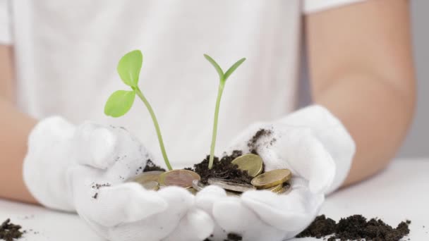 Girl White Cotton Gloves Keeps Seedlings Soil Euro Coins Her — Stockvideo