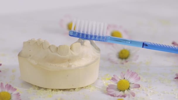 Odlew Dentystyczny Niebieska Szczoteczka Zębów Zbliżenie — Wideo stockowe