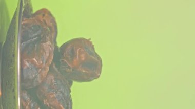 Dates in a silver plate on a green screen. Vertical shot