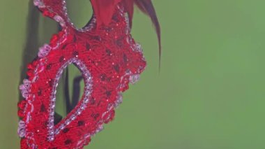 Yeşil ekranda karnaval maskeleri. Yüksek kalite 4k görüntü