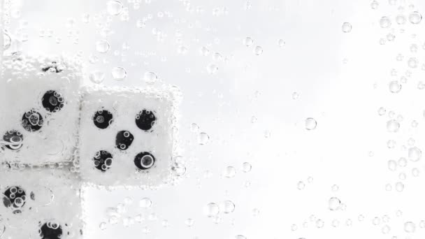 White Dices Falling Water Slow Motion High Quality Footage — Stock video