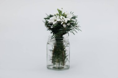 Beyaz arka planda vazoda bir buket bahar çiçeği.