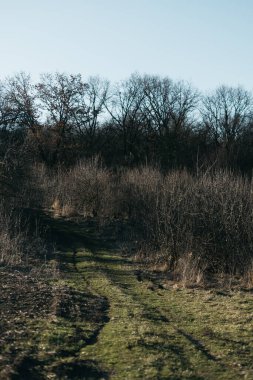 Köye ve ormana giden yola Bir bahar günü akşamleyin