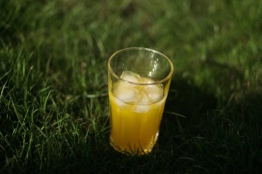 Doğa üzerine buzlu taze sıkılmış portakal suyu.