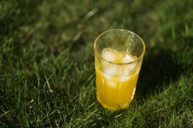 Doğa üzerine buzlu taze sıkılmış portakal suyu.