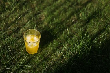 Doğa üzerine buzlu taze sıkılmış portakal suyu.