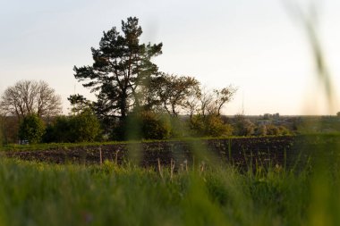 Gün batımında köyde yaz yolu