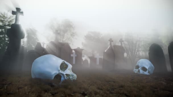 Cráneo Aterrador Cementerio Mañana Brumosa Tumbas Alrededor — Vídeos de Stock