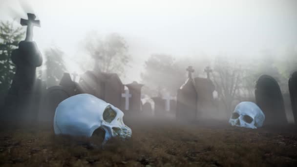 Sisli Bir Sabahta Mezarlıkta Korkunç Bir Kafatası Mezarları Var — Stok video