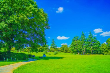 Taze yeşile sarılı bir park. Çekim yeri: Tachikawa Şehri, Tokyo