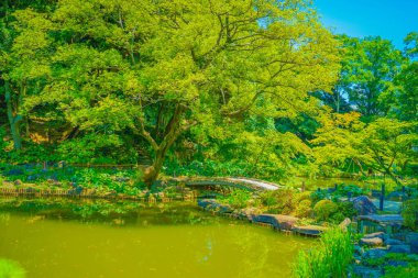 Higo Hosokawa Bahçesi. Çekim yeri: Shinjuku-ku, Tokyo