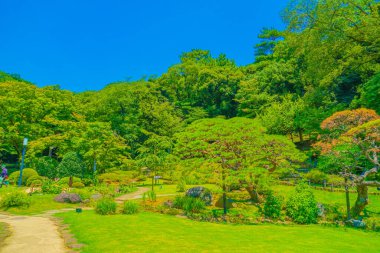 Higo Hosokawa Bahçesi. Çekim yeri: Shinjuku-ku, Tokyo