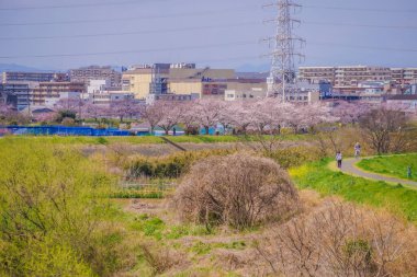 Tsurumi Nehri ve Midori Koğuşu, Yokohama Şehri. Atış yeri: Midori Ward, Yokohama