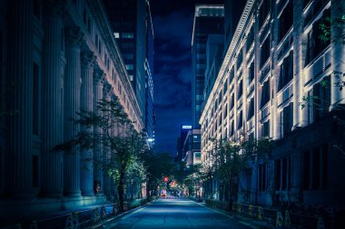 Nihonbashi, Tokyo 'nun gece manzarası. Çekim yeri: Chuo -ku, Tokyo