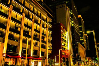 Nihonbashi, Tokyo 'nun gece manzarası. Çekim yeri: Chuo -ku, Tokyo