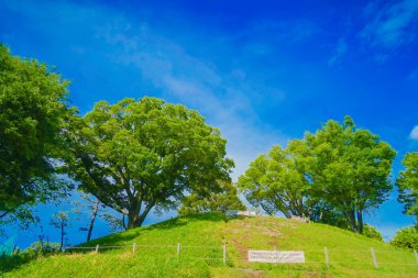 Tamagawa Noge Town Parkı. Çekim yeri: Setagaya-ku, Tokyo