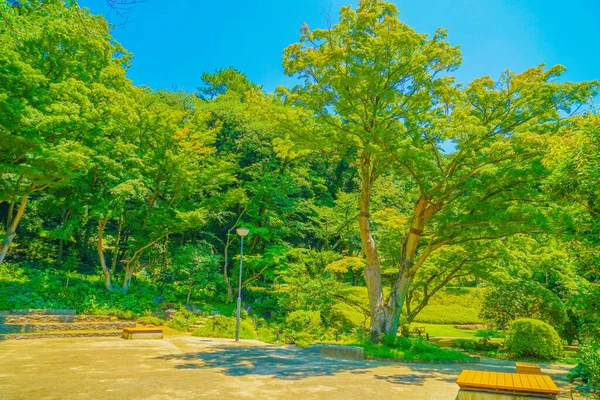 Сад Хиго Хосокава Место Съемок Синдзюку Токио — стоковое фото