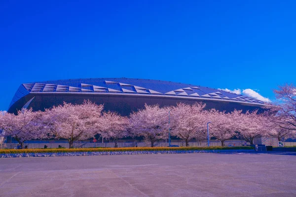 Общая Спортивная Площадь Мусашинского Леса Место Съемок Tokyo Chofu City — стоковое фото