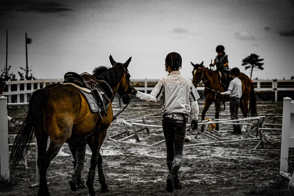 Beeld Van Een Manege Schietplaats Sendai Prefectuur Miyagi — Stockfoto