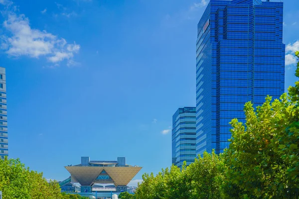 Tokyo Store Syn Tokyo International Exhibition Center Engelsk Skytested Koto – stockfoto