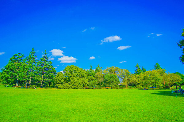 Park wrapped in fresh green. Shooting Location: Tachikawa City, Tokyo