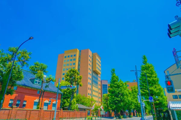 新宿区的城市景观和好天气 射击地点 东京新宿 — 图库照片