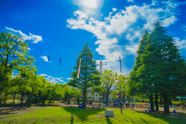 Тамагава Ногэ Таун Парк Место Съемок Сэтагая Токио — стоковое фото