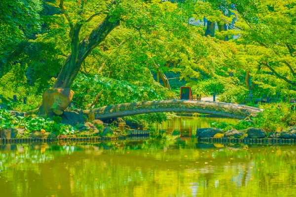 Сад Хиго Хосокава Место Съемок Синдзюку Токио — стоковое фото