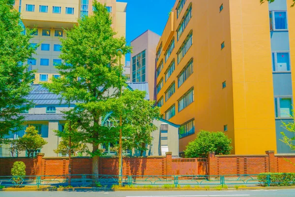 Městská Krajina Shinjuku Ward Pěkné Počasí Místo Střelby Shinjuku Tokio — Stock fotografie