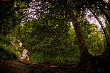 Shirokane Fudo Şelalesi (Biei - cho, Hokkaido). Çekim yeri: Biei - cho, Hokkaido