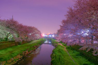 Spring Nogawa (Chofu Şehri, Tokyo). Çekim yeri: Tokyo Chofu Şehri