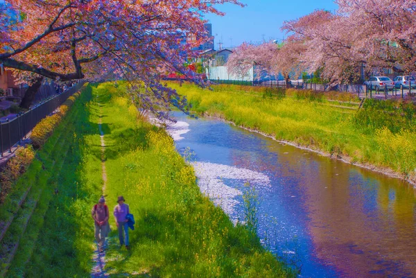Spring Nogawa Chofu City Tokyo 射击地点 东京乔福市 — 图库照片
