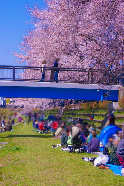 Spring Nogawa Chofu City Tokyo Luogo Delle Riprese Tokyo Chofu — Foto Stock