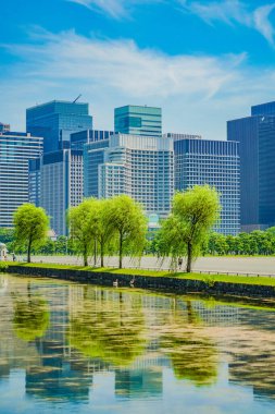 High -rise buildings in Marunouchi. Shooting Location: Chiyoda ward, Tokyo