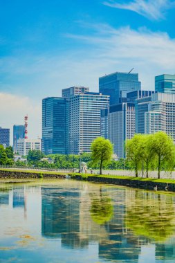 High -rise buildings in Marunouchi. Shooting Location: Chiyoda ward, Tokyo