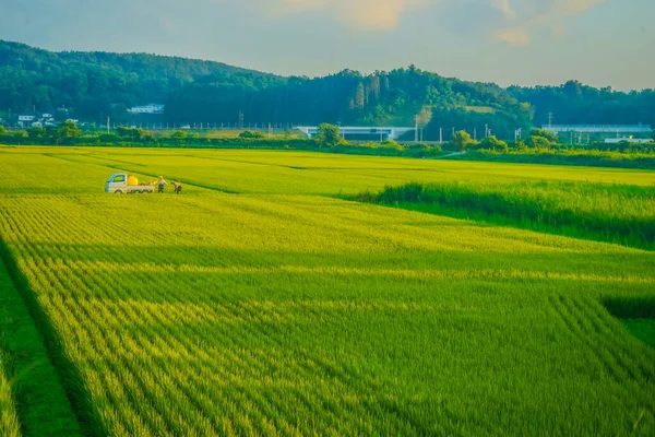 Paesaggio Rurale Aomori Luogo Delle Riprese Aomori — Foto Stock