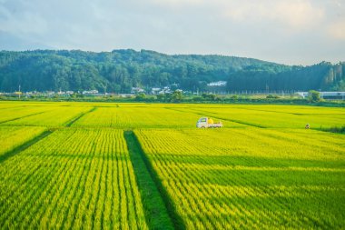 Aomori Rural Scenery. Shooting Location: Aomori