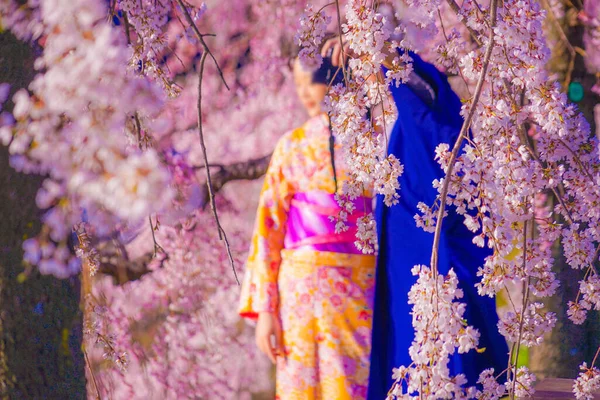 Cherry Blossoms Kimono Men Women Shooting Location Kyoto — Stock Photo, Image