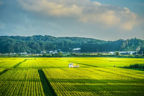 Krajobraz Wiejski Aomori Miejsce Fotografowania Aomori — Zdjęcie stockowe