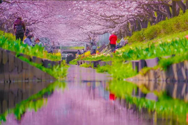 Egawa Seseragi Zielona Droga Miejsce Fotografowania Tsuzuki Ward Jokohama — Zdjęcie stockowe