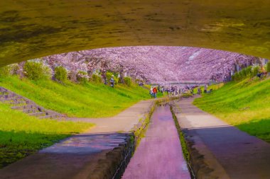 Egawa Seseragi Green Yolu 'ndan. Çekim yeri: Kohoku -ku, Yokohama