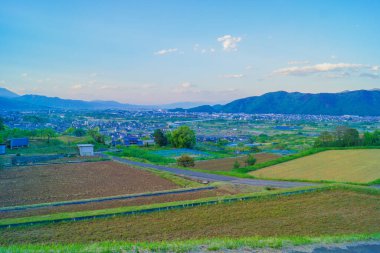 Uba terk edilmiş pirinç tarlası. Çekim Konumu: Nagano Bölgesi
