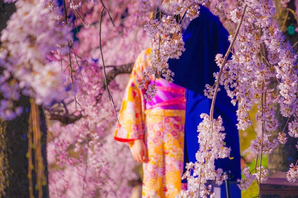 Цветущая Вишня Кимоно Мужчины Женщины Место Съемки Киото — стоковое фото